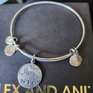 Alex and Ani bracelet NYC skyline